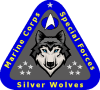Starfleet Marine Silver Wolves.png